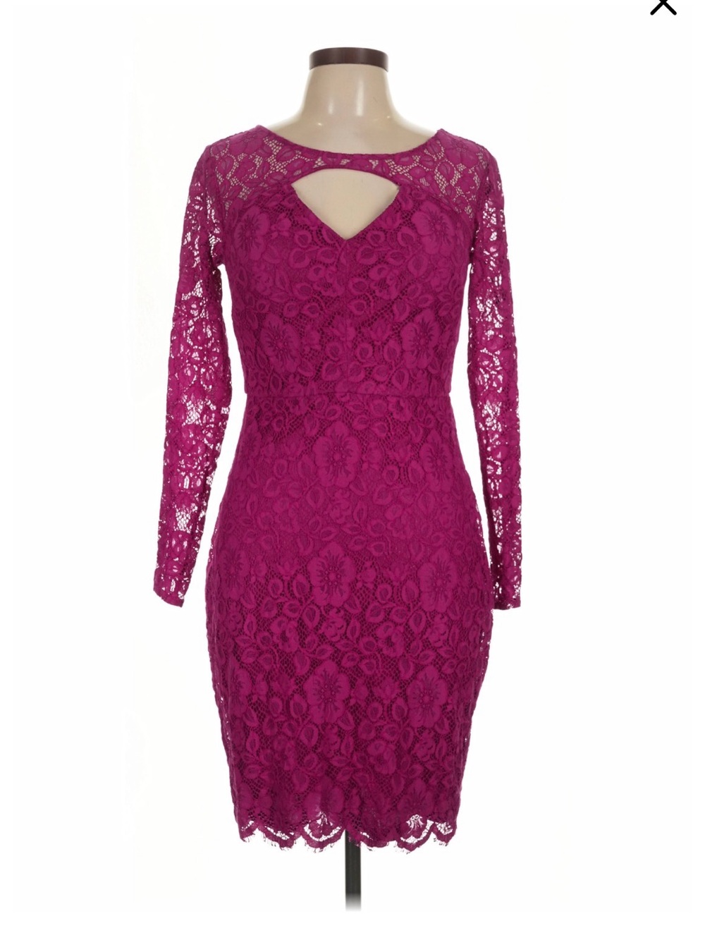 Long Sleeve Lace Sheath Dress in Fuchsia